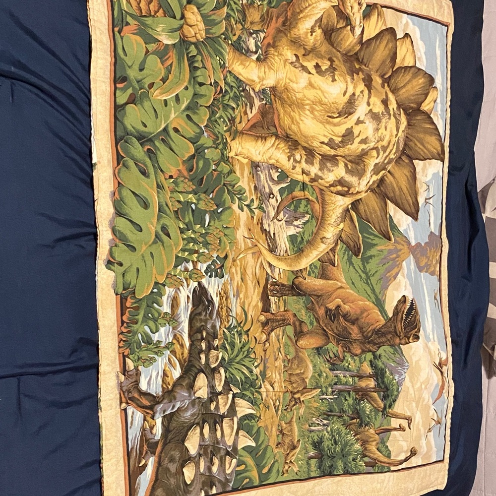 Dinosaur Themed Blanket